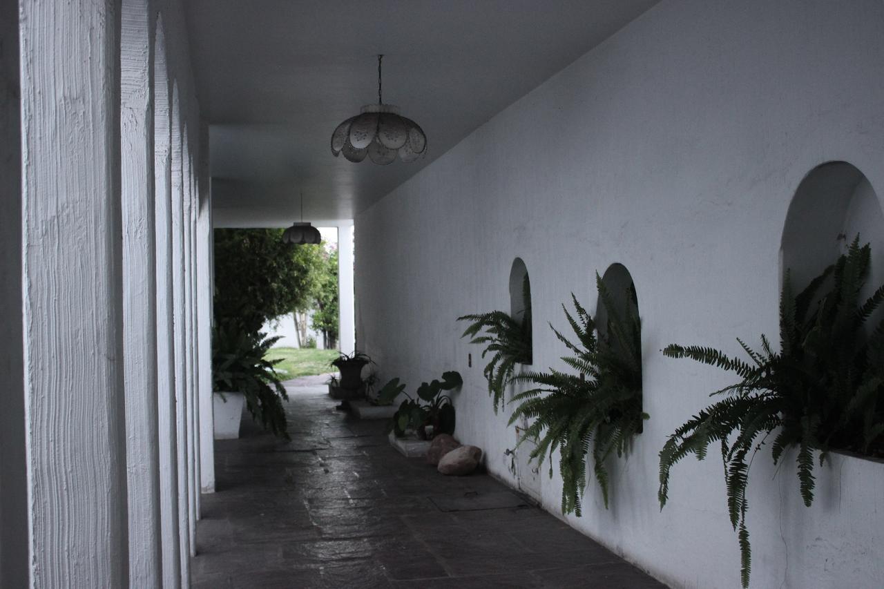 Allende 304 Hostel Aguascalientes Buitenkant foto