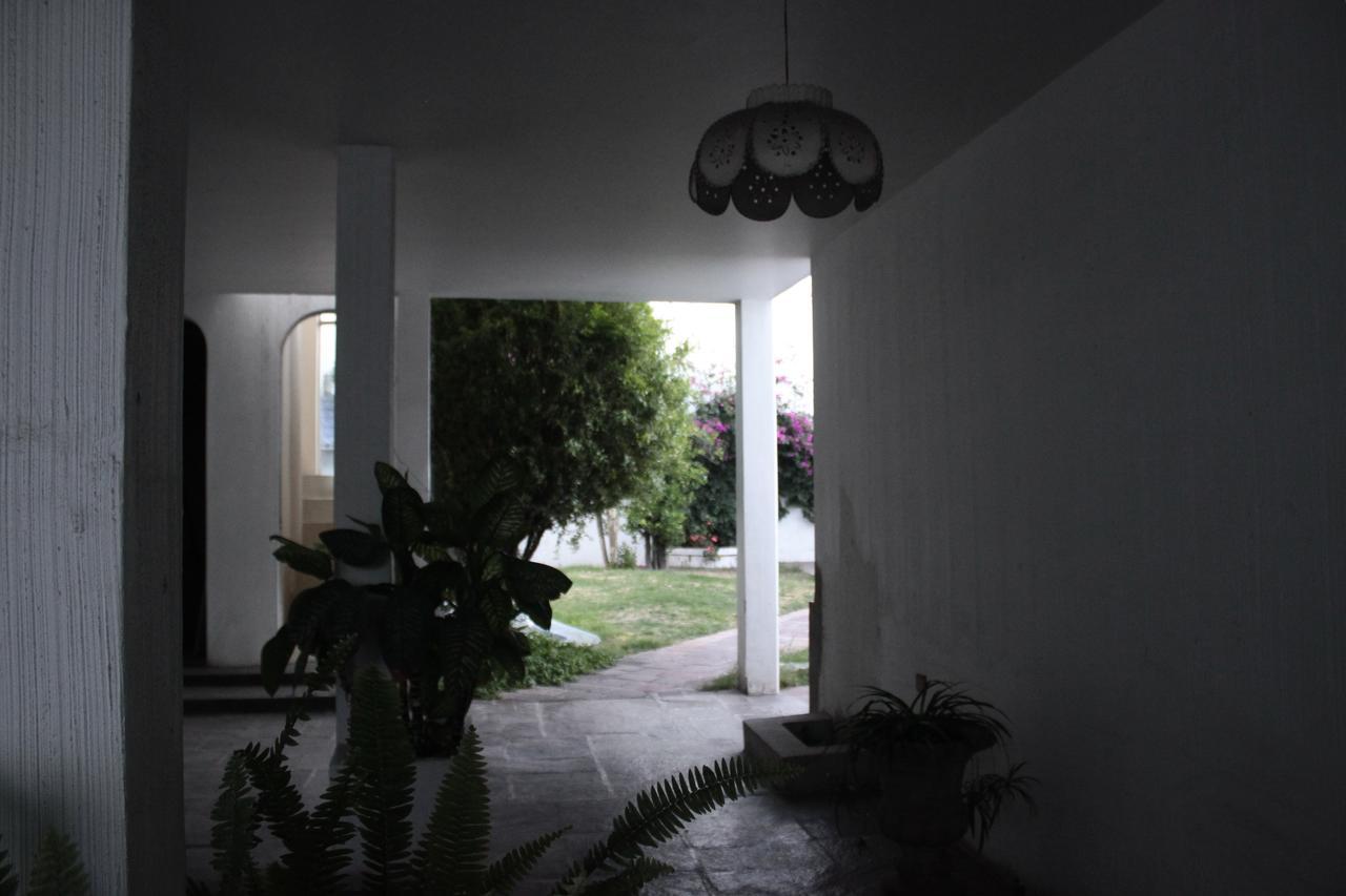 Allende 304 Hostel Aguascalientes Buitenkant foto